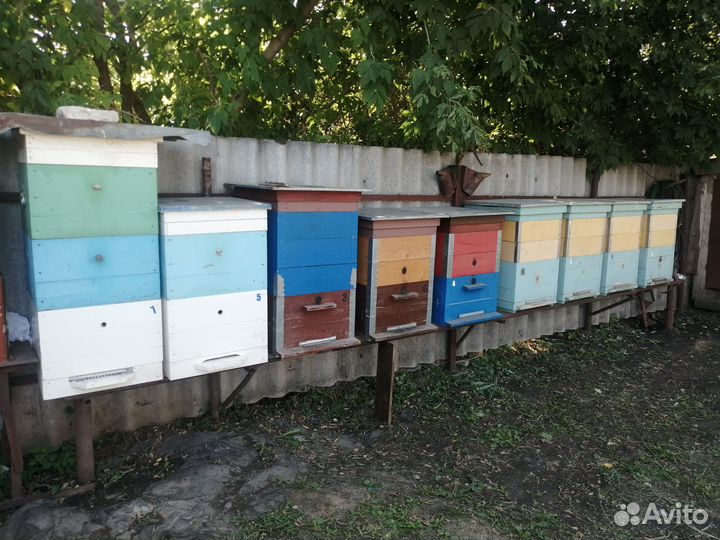 Ульи для пчел