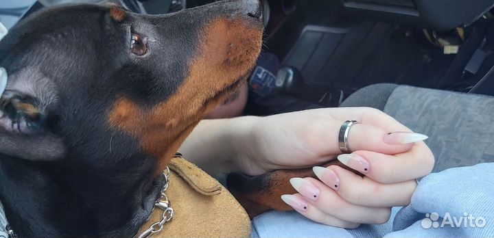 Маникюр, педикюр