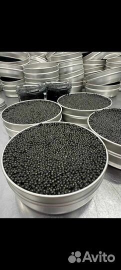 Продаю икру черную (дойная и забойная)