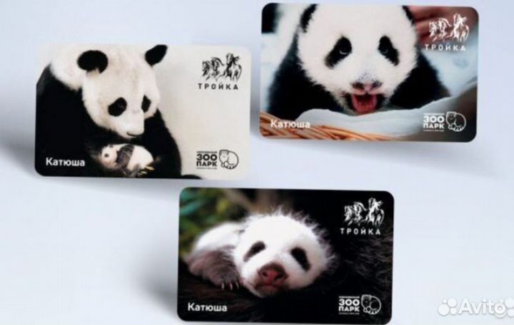 Коллекционная карта Тройка Панда Катюша