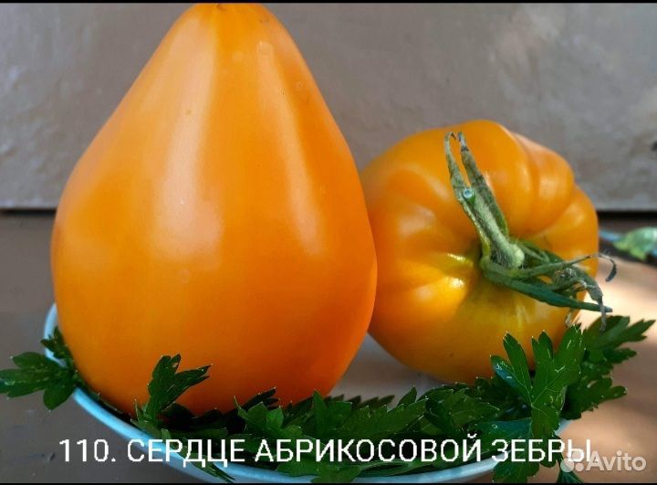 Семена помидор