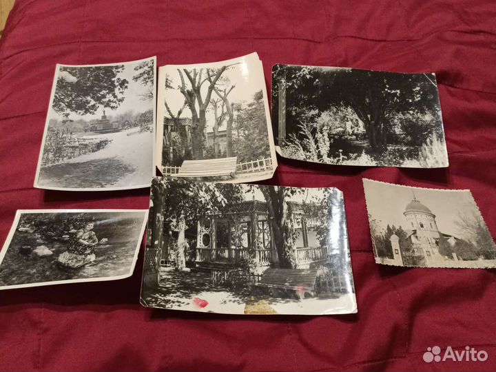 Фотографии