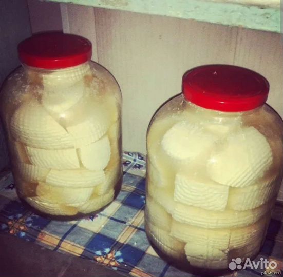 Сыр дагестан домашняя брынза, масло, из цельного