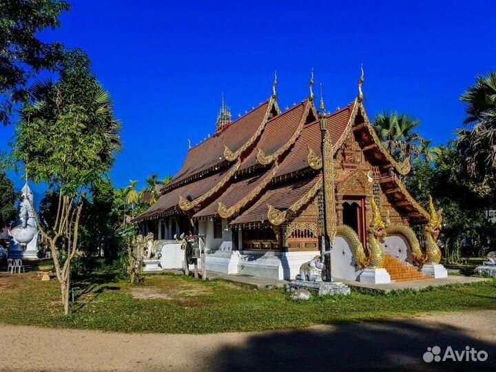 VIP-тур на Шри-Ланку на 7 нч