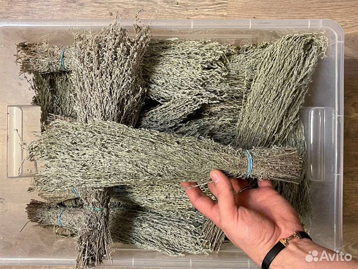 Полынь крымская таврическая серебристая пучки 2022