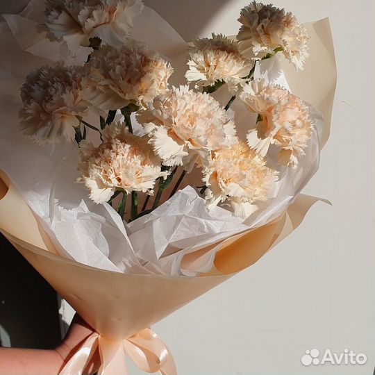 Гвоздика / Доставка цветов