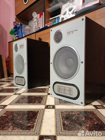 Акустика Электроника 25 ас-128