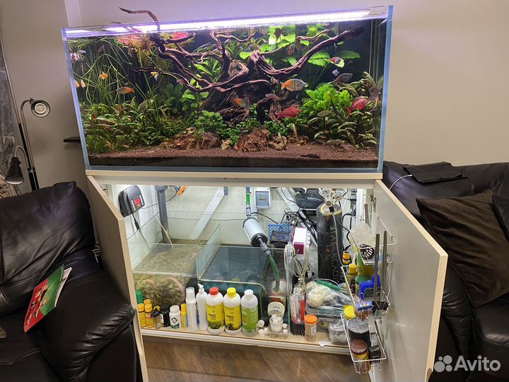 Аквариум 500 литров