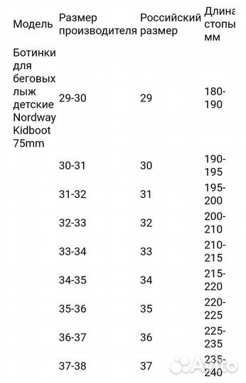 Лыжные ботинки nordway 31