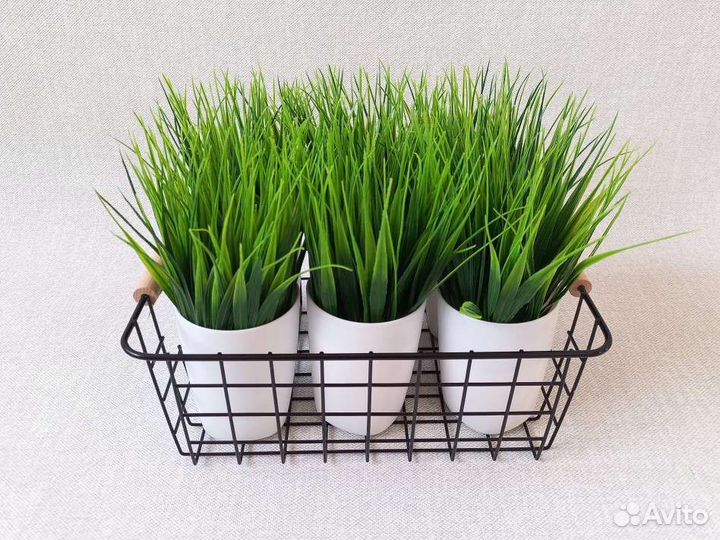 Фейка осока, лаванда, искусственная трава