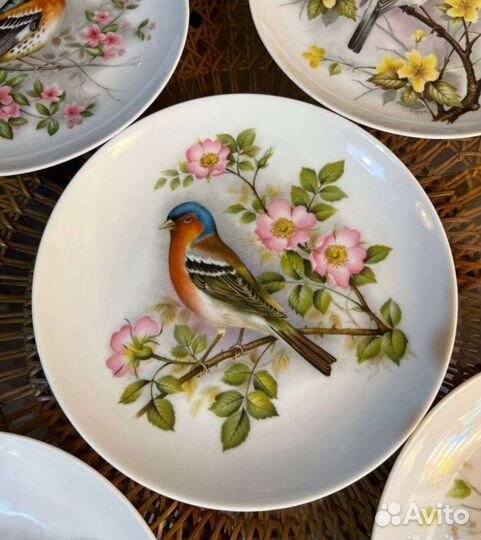 Настенная тарелка птицы kaiser