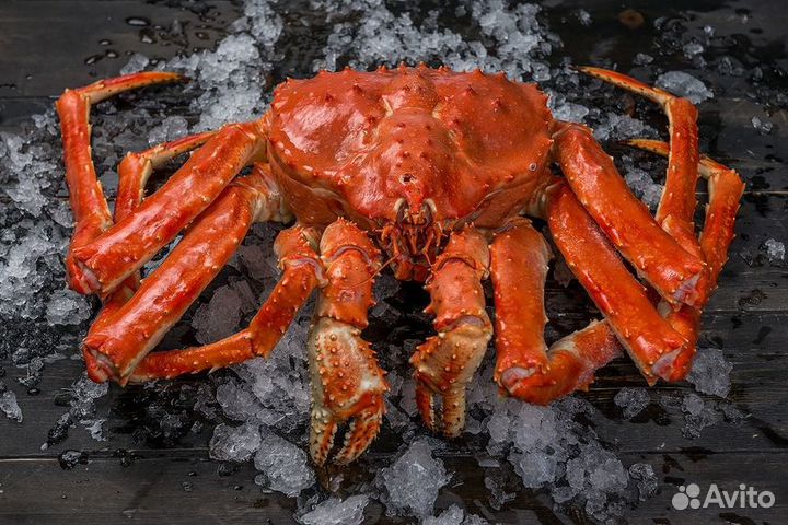 Клешни краба камчатского