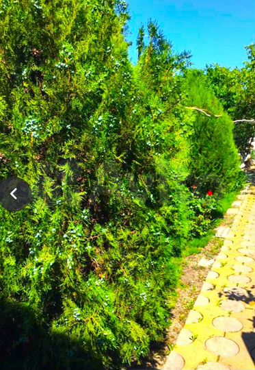 Дом 223 м² на участке 10 сот.