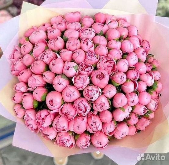 Пионы Букет