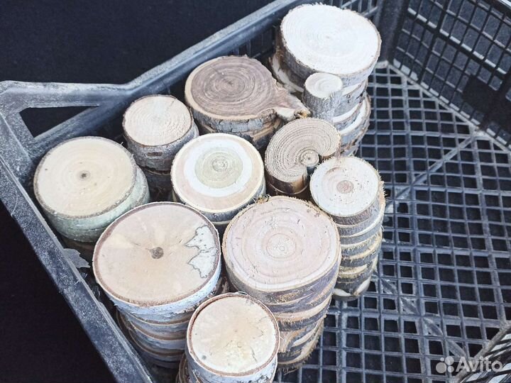 Спилы дерева