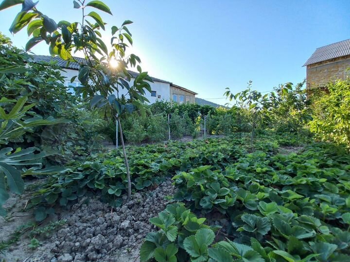 Дом 130 м² на участке 6 сот.