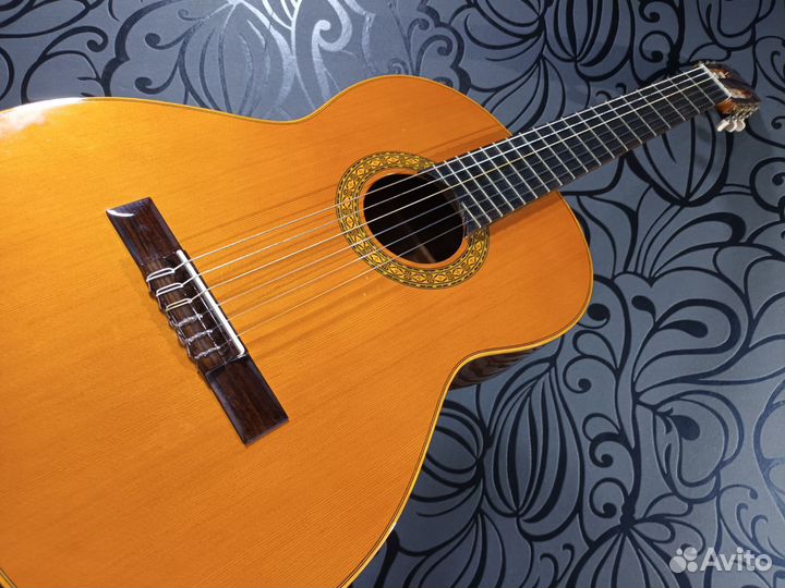 Испанская классическая гитара (кедр/массив)