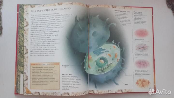 Большая книга 