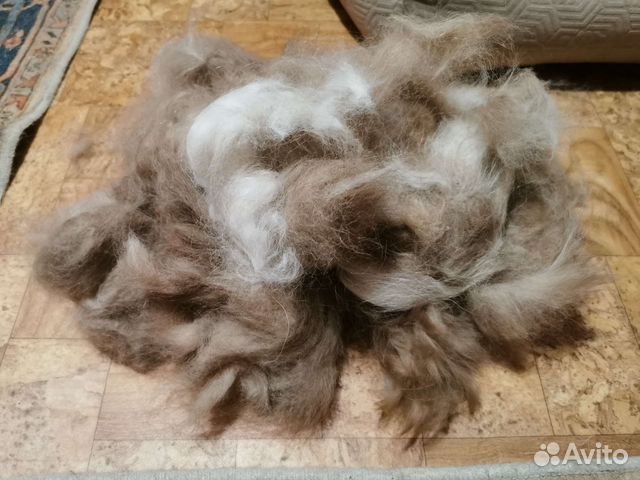 Собачья шерсть пух