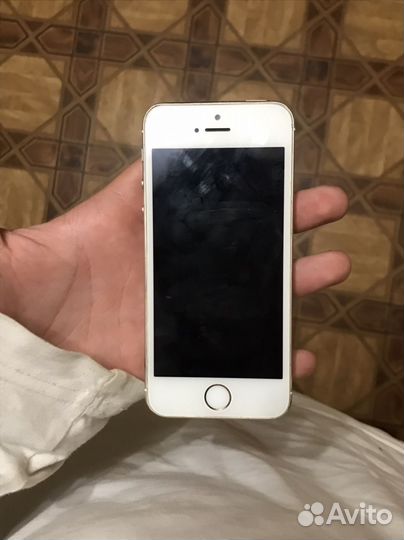 iPhone 5s