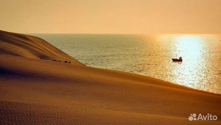 Экскурсии по Калининграду, Калининградской области