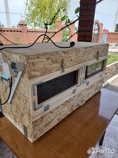 Брудер для цыплят, утят, индюшат