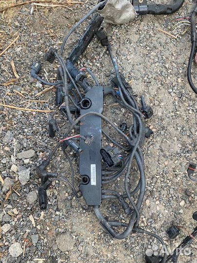 Проводка двигателя BMW E60 E65 M57N2 D3 Euro4/5