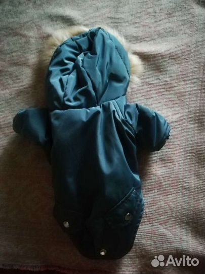 Зимняя куртка для маленьких собак