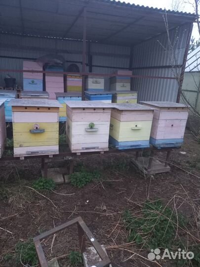 Улей для пчел