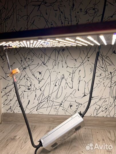 LED лампа для растений