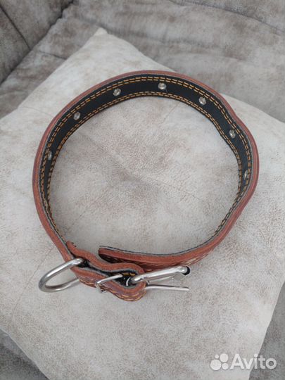 Ошейник для собак