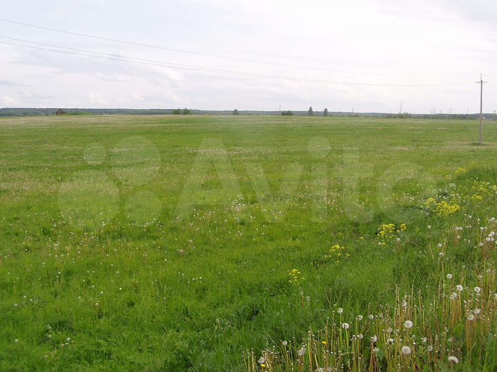 Участок 7,8 га (СНТ, ДНП)