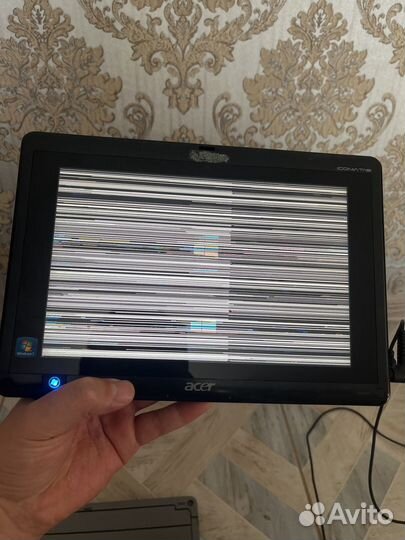Acer