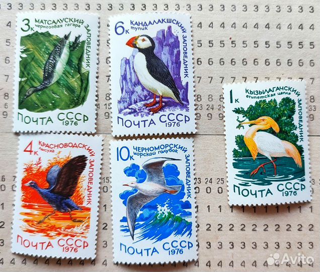 Ботаническиие марки цветы, грибы