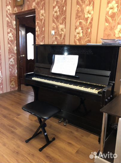 Репетитор по фортепиано, сольфеджио