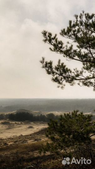 Экскурсия на Куршскую косу с гидом