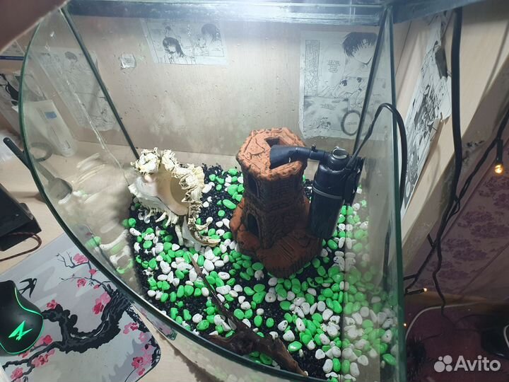 Аквариум для рыбок 40 литров
