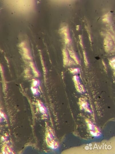 Подсветка микроскопа мбс