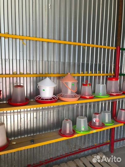 Поилки,комбикорм,премиксы для цыплят