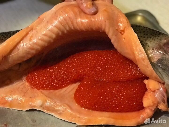 Форель и икра из Карелии свежайшая