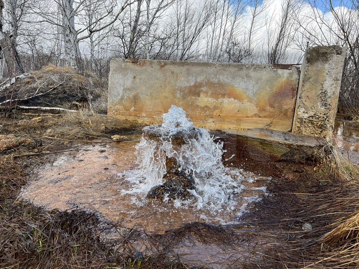 Участок 30 га (СНТ, ДНП)