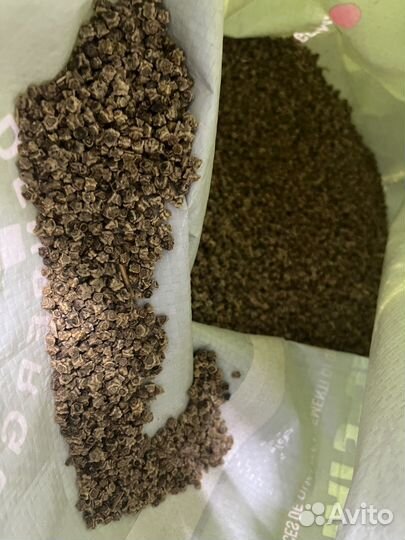 Семена кормовой свеклы Brigadier