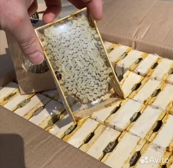 Мёд маленькие соты