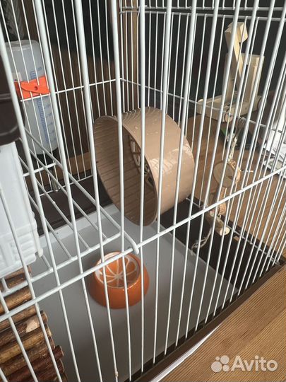 Клетка для грызунов