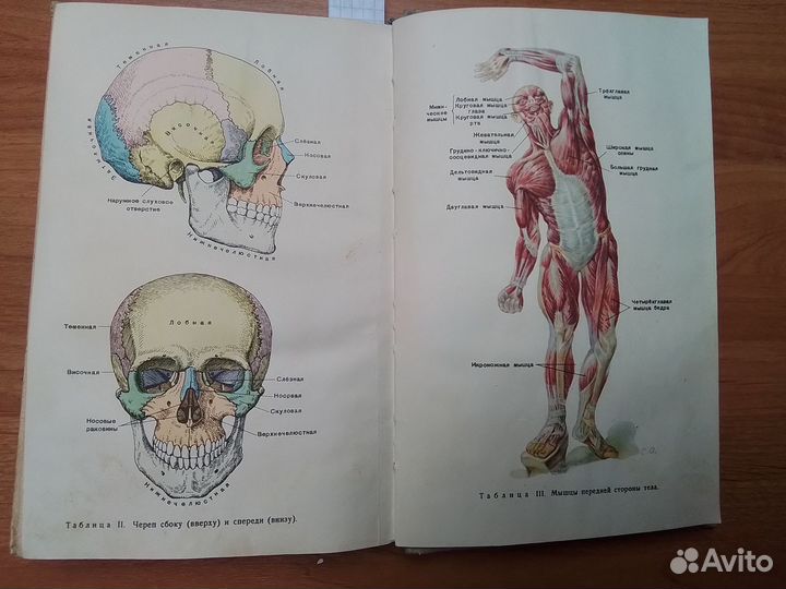 Советские учебники