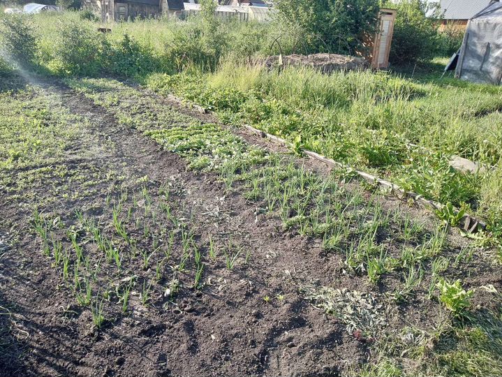 Дом 36 м² на участке 8,8 сот.