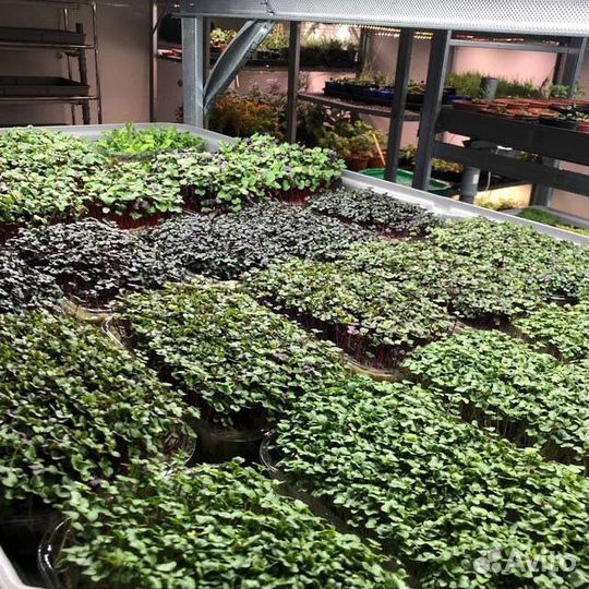 Предложение услуг