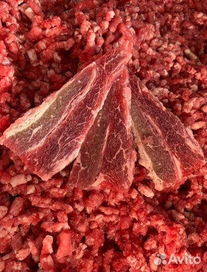 Мясо, свинина, говядина, фарш, идр