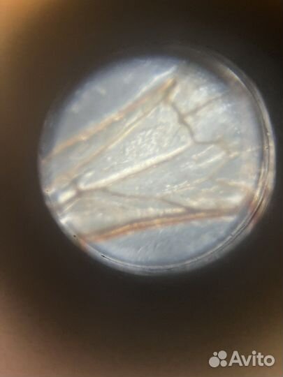 Микроскоп детский с зеркалом