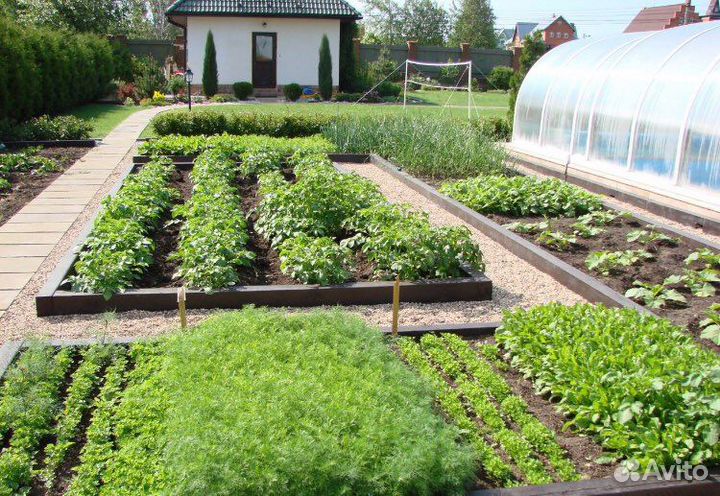 Земля для огорода